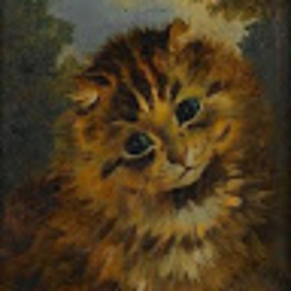 Meet your Posher, Phoebe - Picture 1 of 1